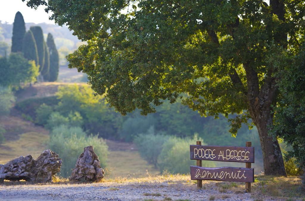 Agriturismo Podere Alberese アッシャーノ エクステリア 写真